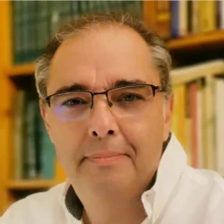 Ampa Irlandesas Bami Dr. Cayetano