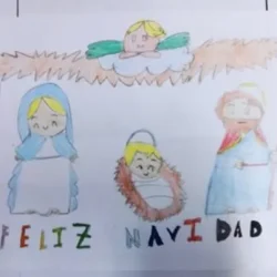 AMPA Irlandesas Bami